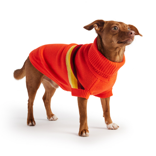 Retro Sweater - Orange, Goodies N Stuff