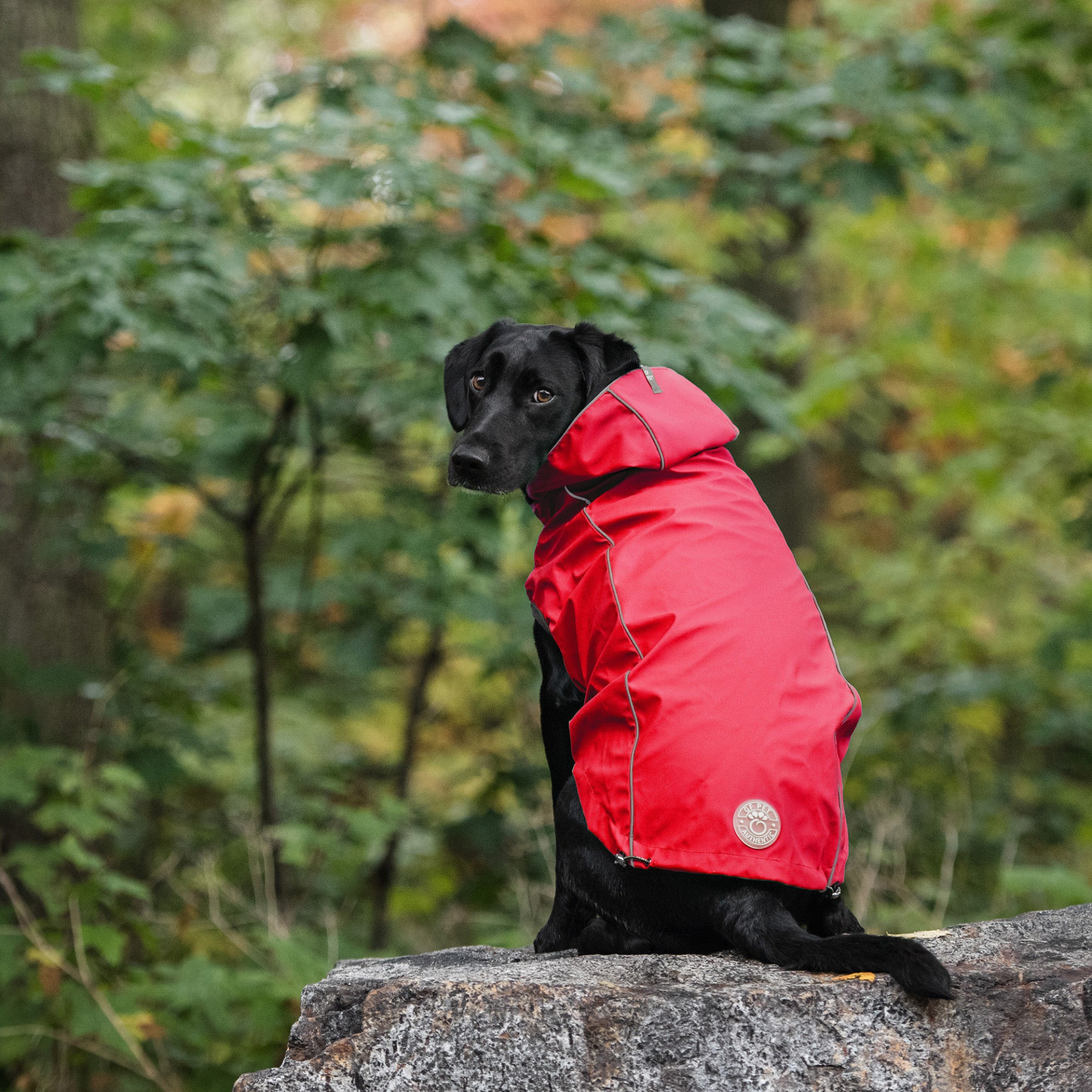 Reversible Elasto-Fit Raincoat - Red, Goodies N Stuff