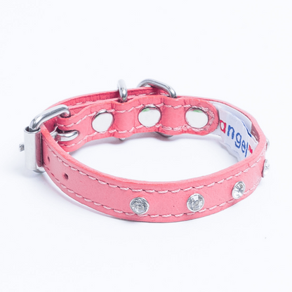 Athens Dog Collar ( Pink | Purple ), Goodies N Stuff