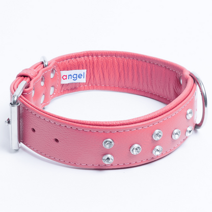 Athens Dog Collar ( Pink | Purple ), Goodies N Stuff