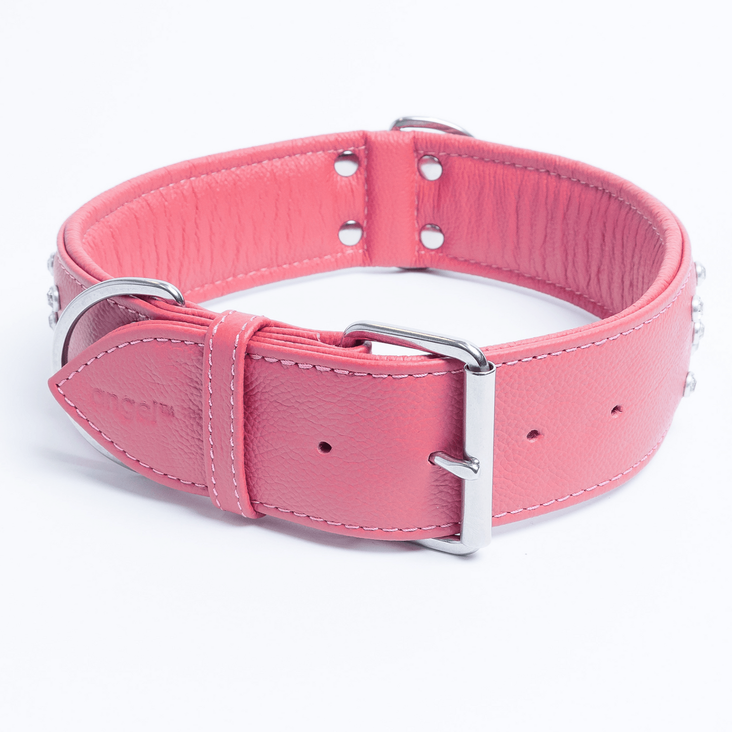 Athens Dog Collar ( Pink | Purple ), Goodies N Stuff