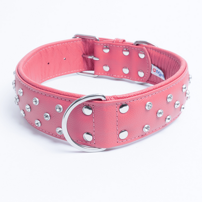 Athens Dog Collar ( Pink | Purple ), Goodies N Stuff