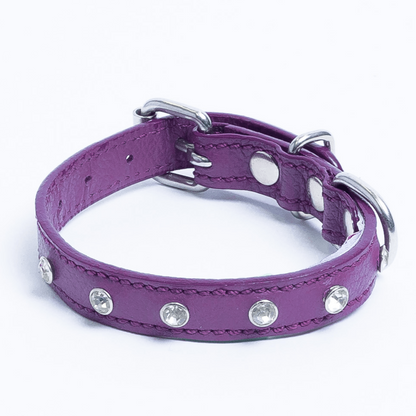 Athens Dog Collar ( Pink | Purple ), Goodies N Stuff