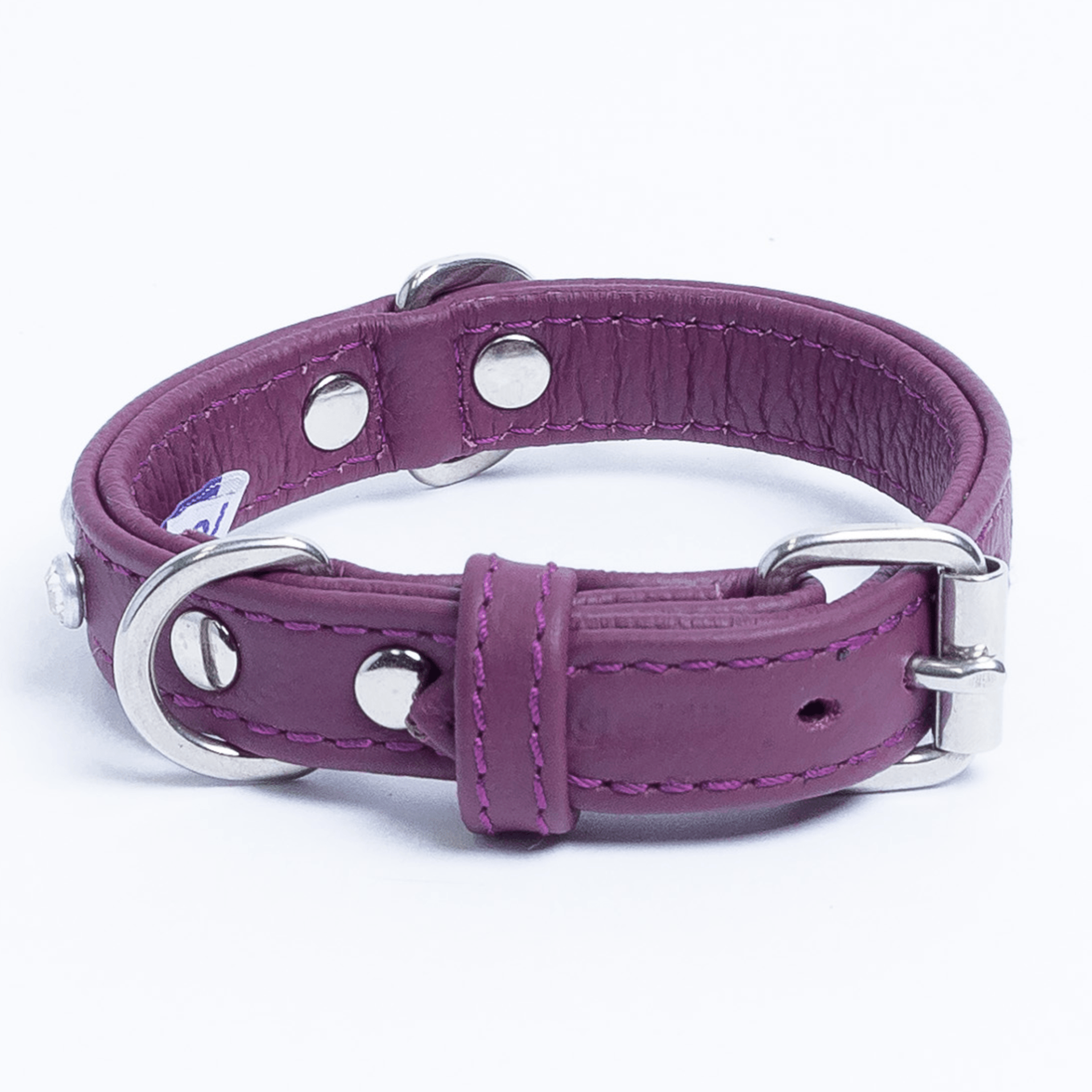 Athens Dog Collar ( Pink | Purple ), Goodies N Stuff