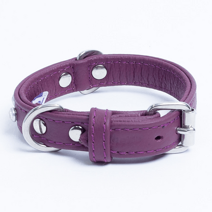 Athens Dog Collar ( Pink | Purple ), Goodies N Stuff