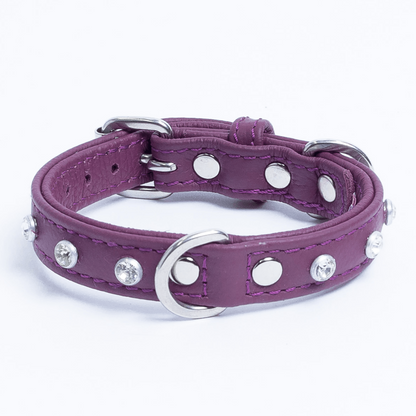 Athens Dog Collar ( Pink | Purple ), Goodies N Stuff