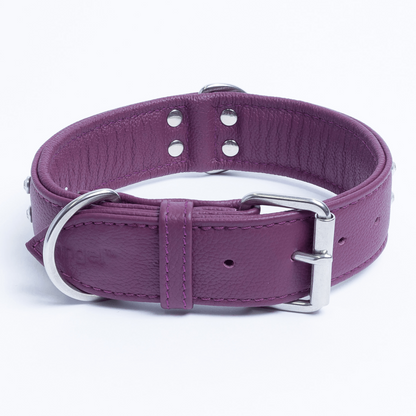 Athens Dog Collar ( Pink | Purple ), Goodies N Stuff