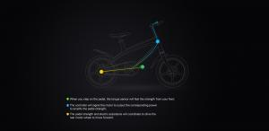 The Official Carbon Black E-Bike with Built-in Speakers & Bluetooth (Range up to 60km), Goodies N Stuff