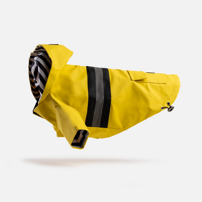 Aden Dog Raincoat - Yellow, Goodies N Stuff