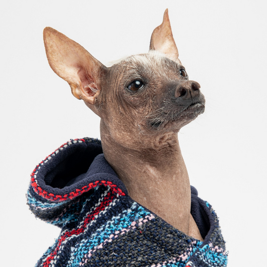 Baja Dog Poncho - Navy, Goodies N Stuff