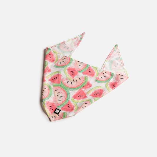 Dog Bandana - Watermelon, Goodies N Stuff