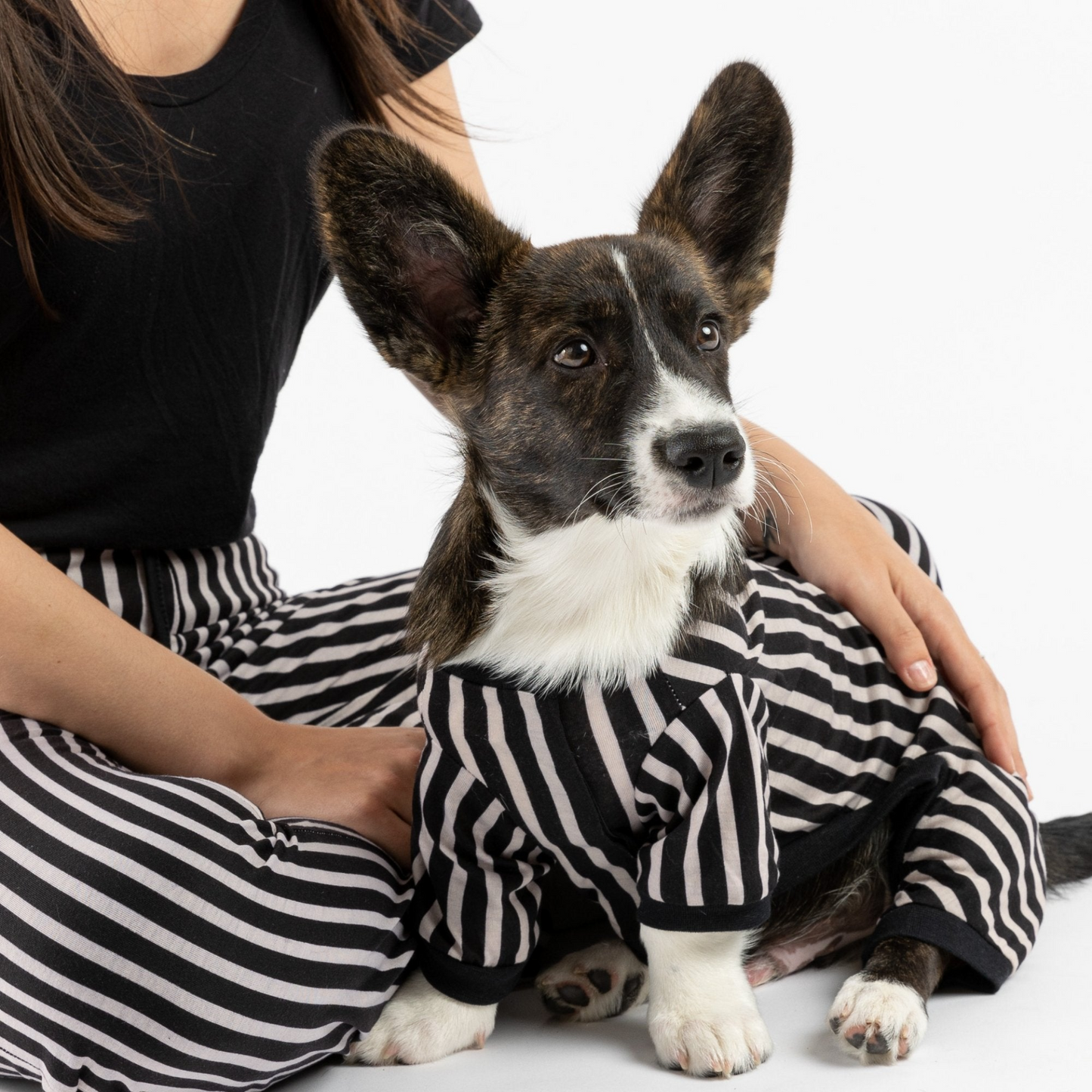 Dog Pajama - Stripe, Goodies N Stuff