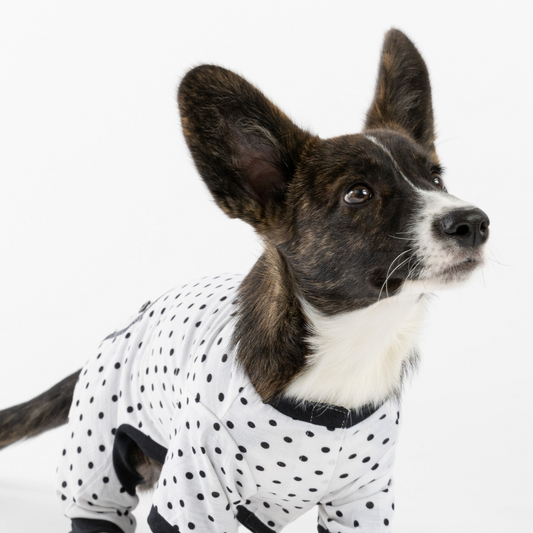 Dog Pajama - Polka Dot, Goodies N Stuff