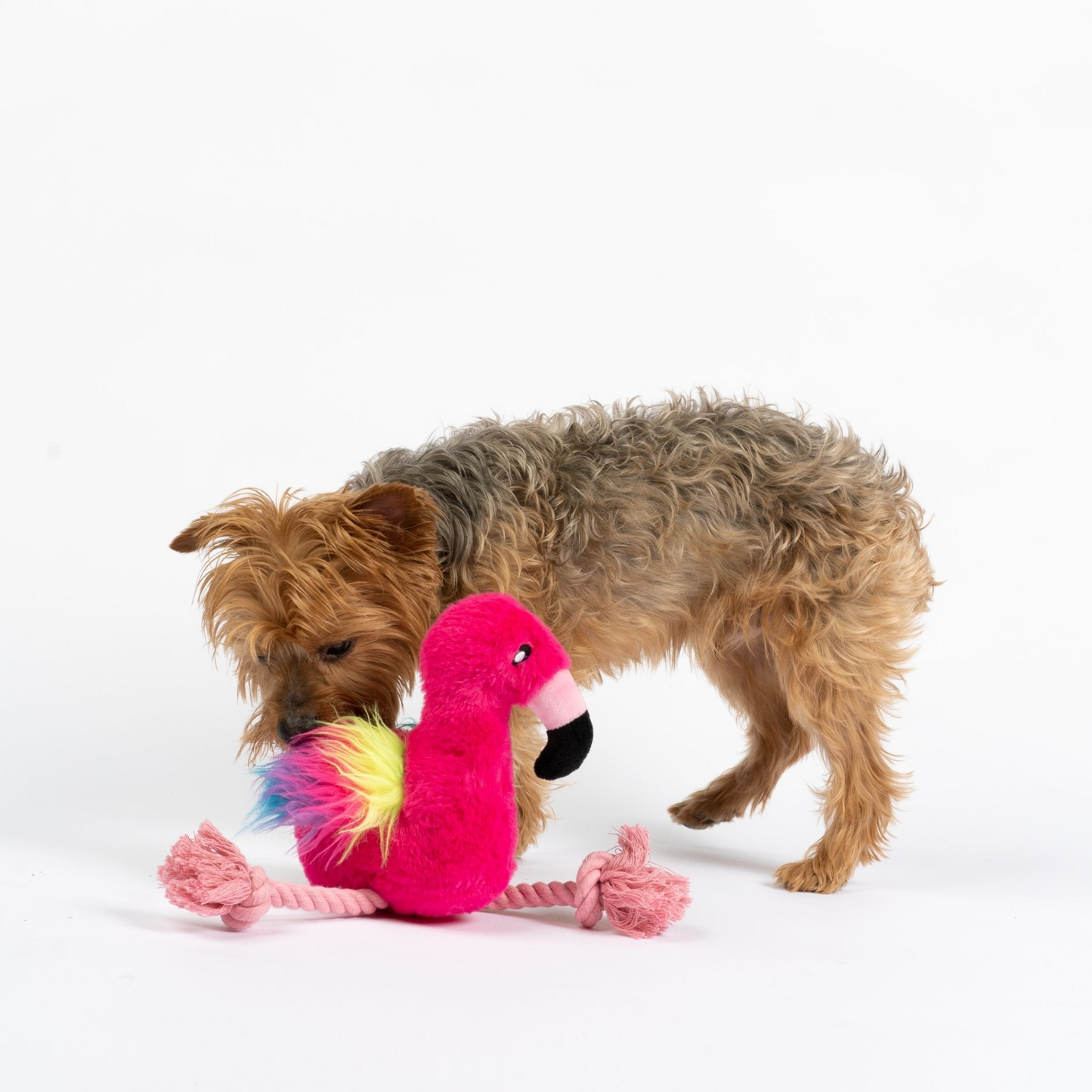 Flamingo Dog Toy, Goodies N Stuff