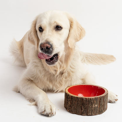 Farmhouse Wood Dog Bowl, Goodies N Stuff