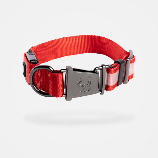 LED Dog Collar - Red, Goodies N Stuff