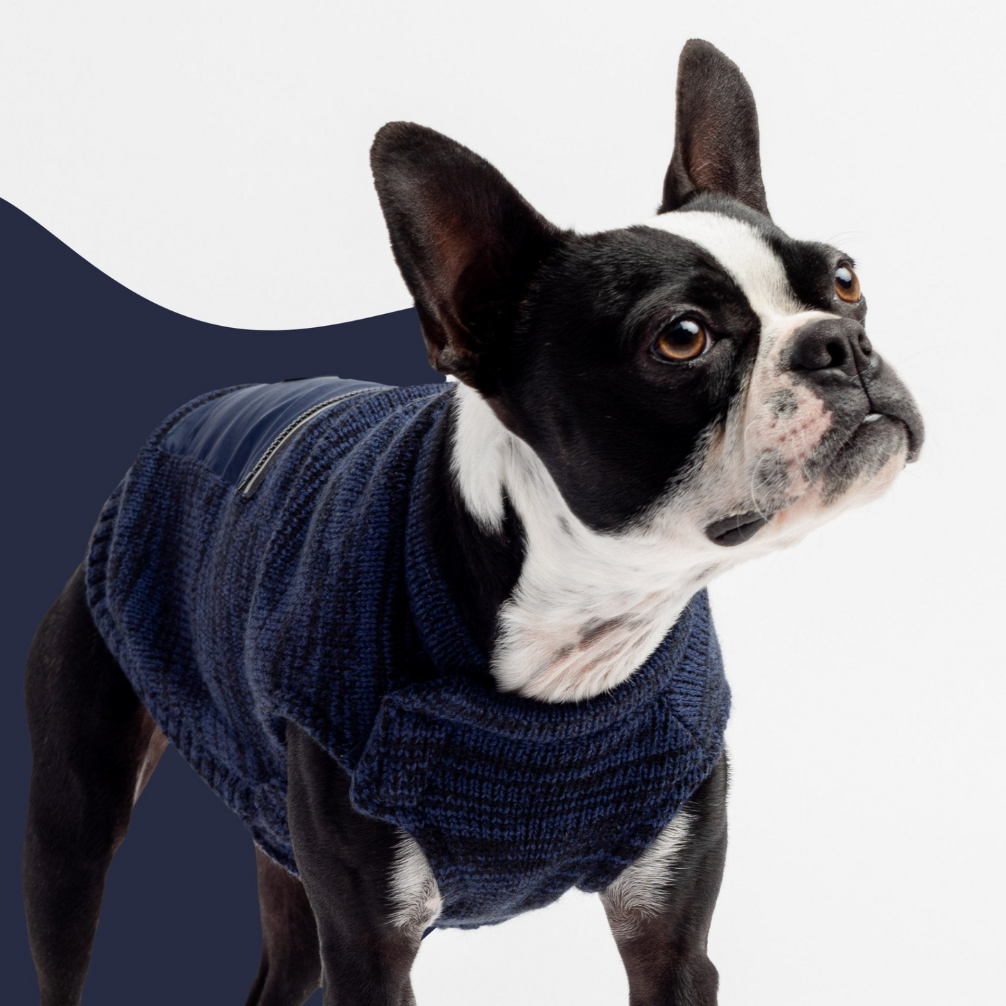 Mia Dog Sweater - Blue, Goodies N Stuff