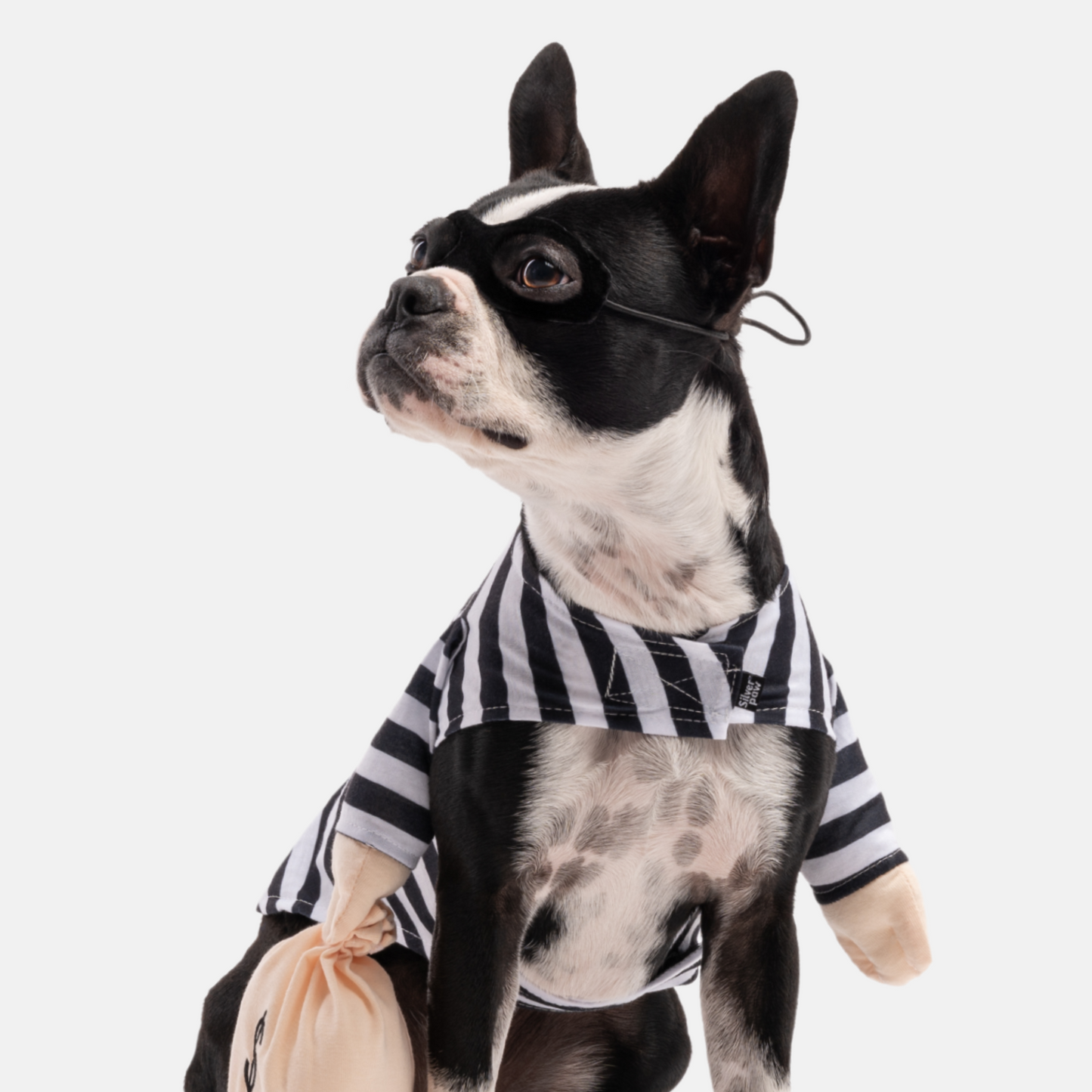 Bank Robber Dog Costume, Goodies N Stuff