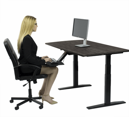 "Premier 52"" Black Dual Motor Electric Office Adjustable Standing Desk"