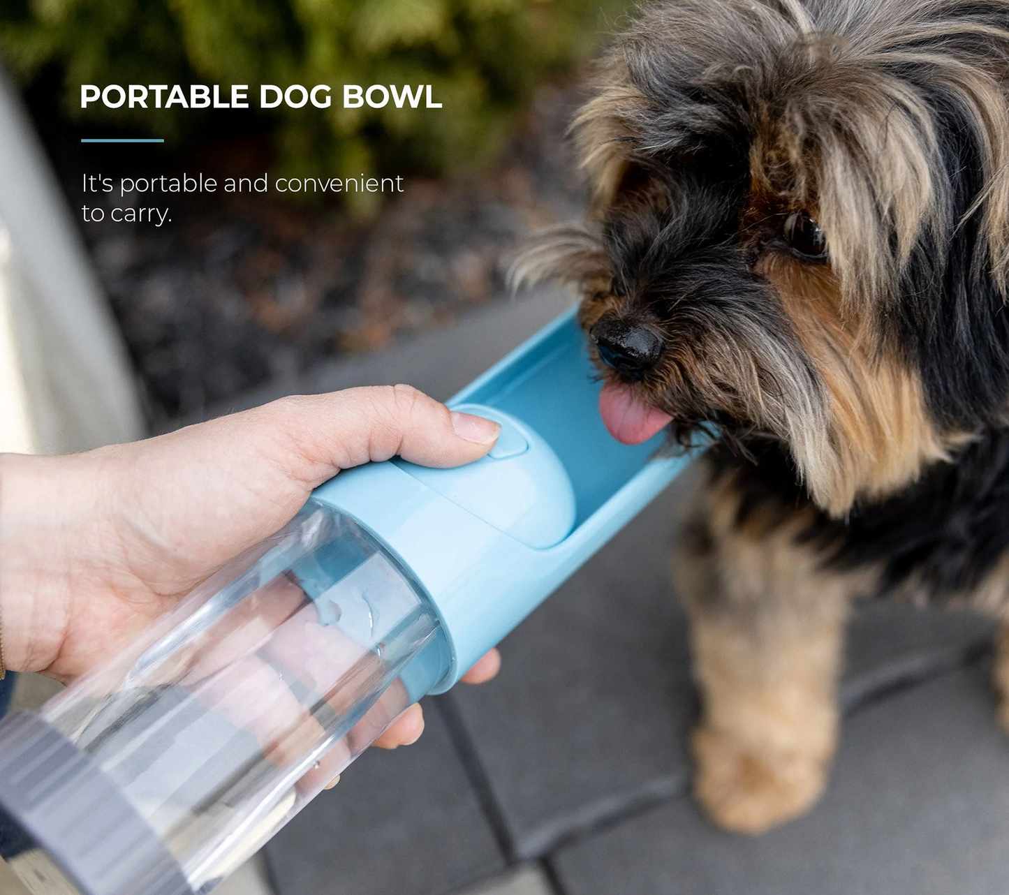 Portable Dog Water Bottle- with Charcoal Filter, Goodies N Stuff