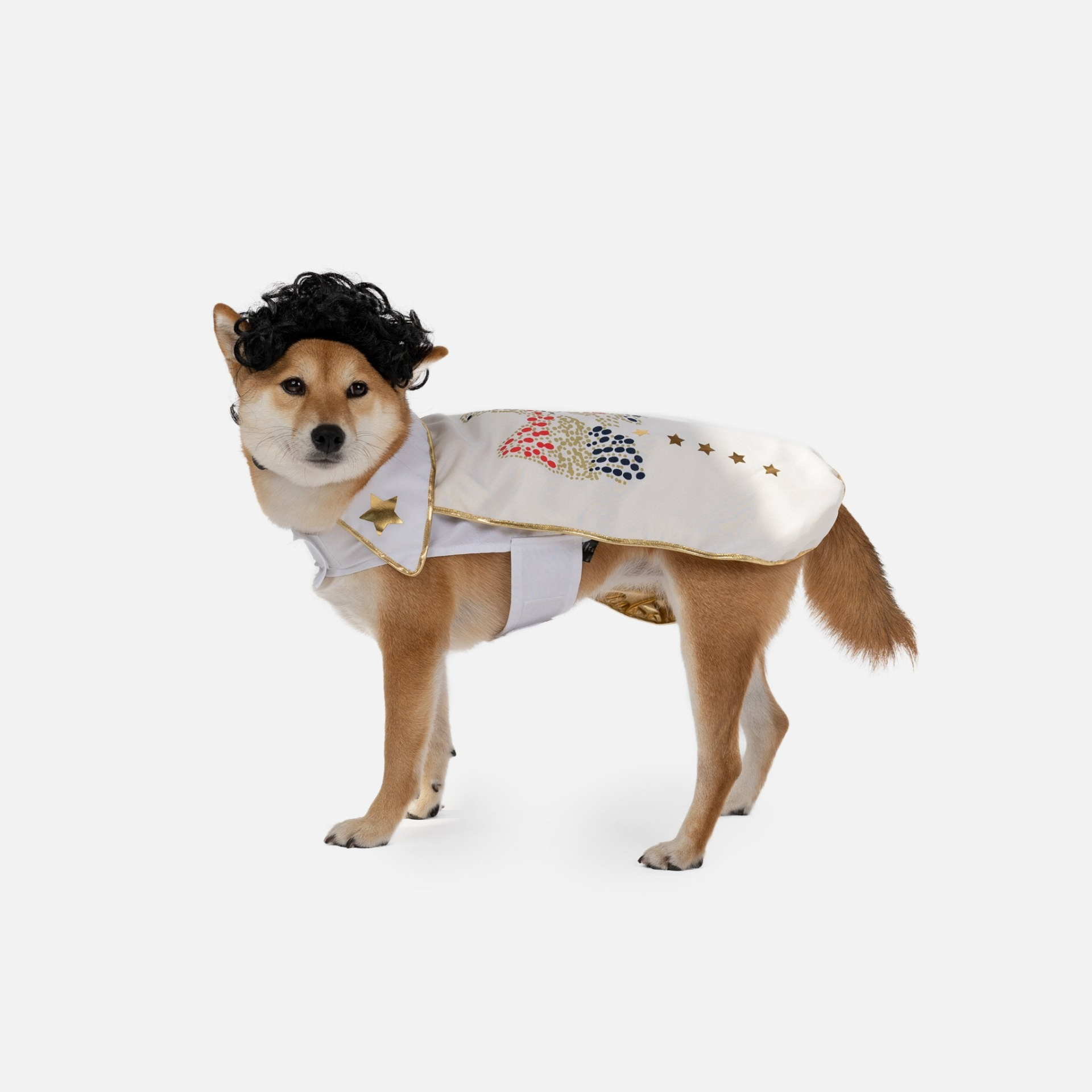 Elvis Showman Dog Costume, Goodies N Stuff