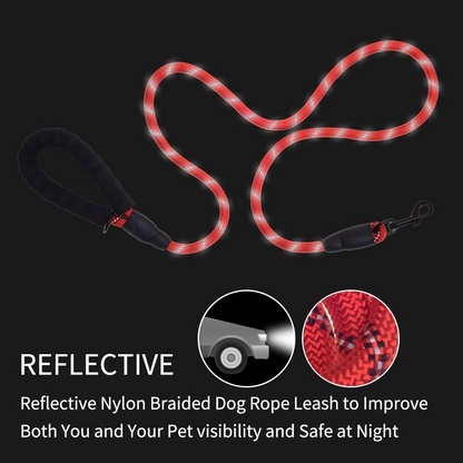 5 FT Thick Highly Reflective Dog Leash-Red, Goodies N Stuff