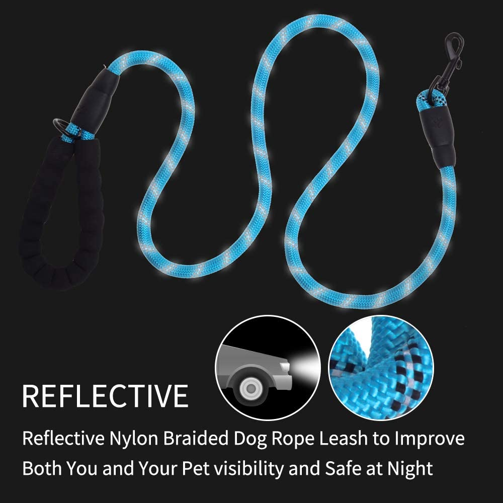 5 FT Thick Highly Reflective Dog Leash-Pink, Goodies N Stuff