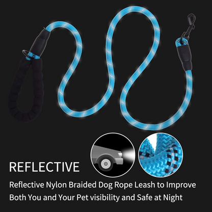 5 FT Thick Highly Reflective Dog Leash-Pink, Goodies N Stuff