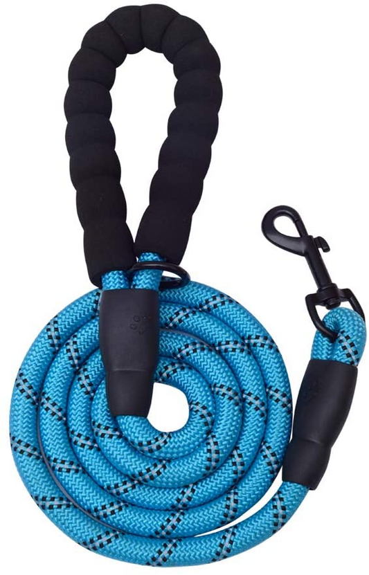 5 FT Thick Highly Reflective Dog Leash- Blue, Goodies N Stuff