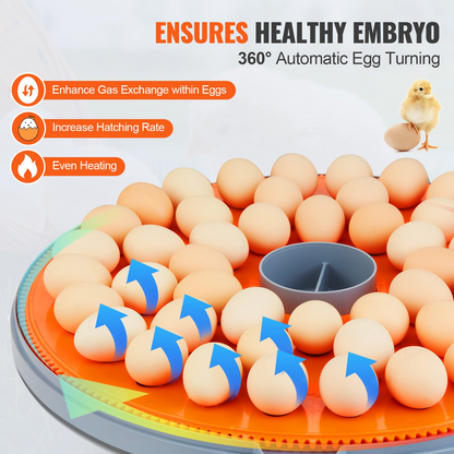 VEVOR 48 Egg Incubator, Incubators for Hatching Eggs, 360° Automatic Egg Turner with Temperature and Humidity Display, 48 Eggs Poultry Hatcher with ABS Transparent Shell for Chicken, Duck, Quail, Goodies N Stuff