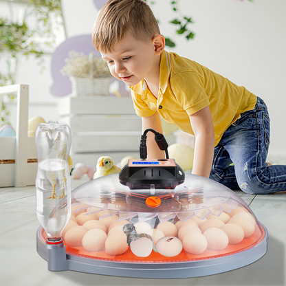 VEVOR 48 Egg Incubator, Incubators for Hatching Eggs, 360° Automatic Egg Turner with Temperature and Humidity Display, 48 Eggs Poultry Hatcher with ABS Transparent Shell for Chicken, Duck, Quail, Goodies N Stuff