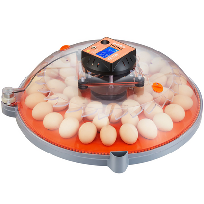 VEVOR 48 Egg Incubator, Incubators for Hatching Eggs, 360° Automatic Egg Turner with Temperature and Humidity Display, 48 Eggs Poultry Hatcher with ABS Transparent Shell for Chicken, Duck, Quail, Goodies N Stuff