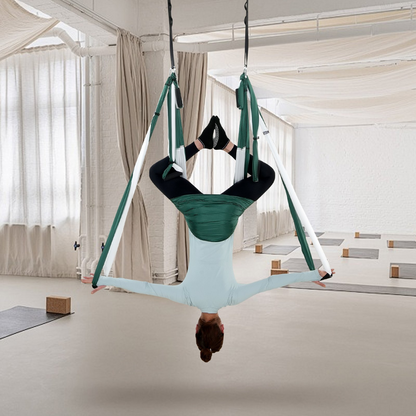 VEVOR Aerial Yoga Swing Set - Yoga Hammock Hanging Swing for Inversion and Aerial Yoga, Goodies N Stuff