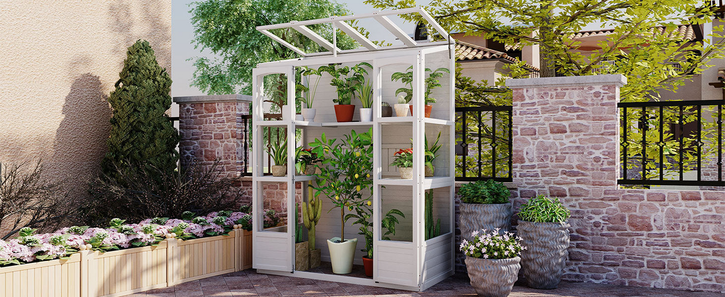 78-inch Wooden Greenhouse Cold Frame with 4 Independent Skylights and 2 Folding Middle Shelves, Walk-in Outdoor Greenhouse, White, Goodies N Stuff