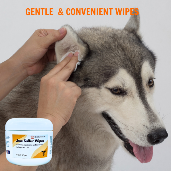 Healthy Paw Life’s Lime Sulfur Wipes - Holistic Skin Care Solution for Pets, Goodies N Stuff