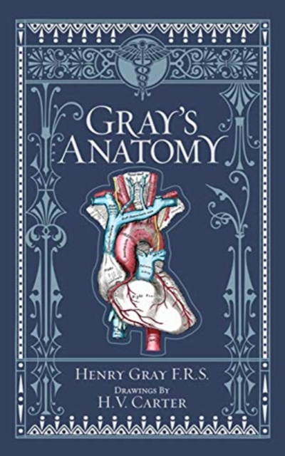 Grays Anatomy Barnes  Noble Collectible Editions by Henry Gray