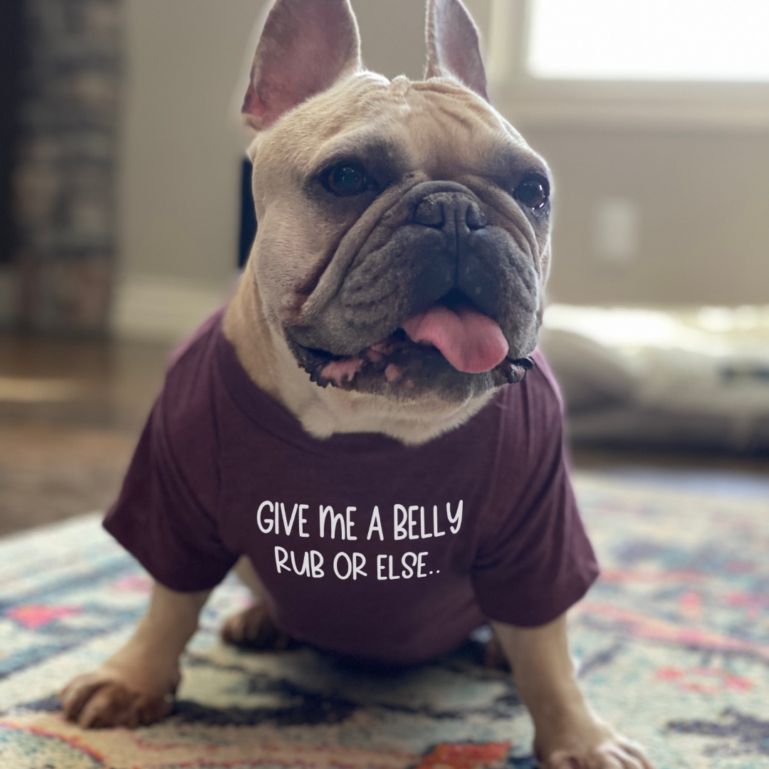 Give Me Belly Rubs Dog Shirt - Cute and Comfortable Pet Apparel, Goodies N Stuff
