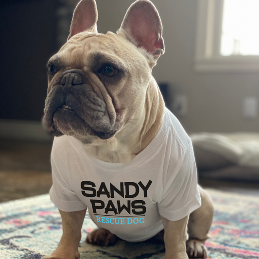 Sandy Paws Rescue Dog Dog Shirt, Goodies N Stuff