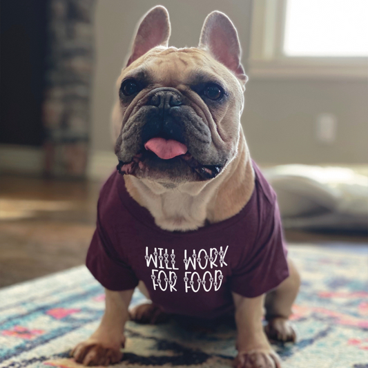 Will Work For Food Dog Shirt, Goodies N Stuff