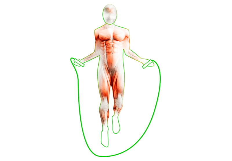 PBLX Weighted Jump Rope - Improve Cardio and Boost Performance, Goodies N Stuff
