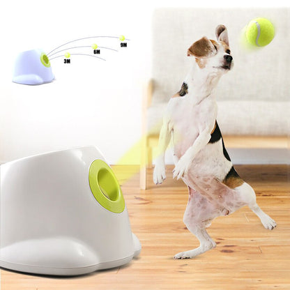 Dog pet Tennis Launcher, Goodies N Stuff