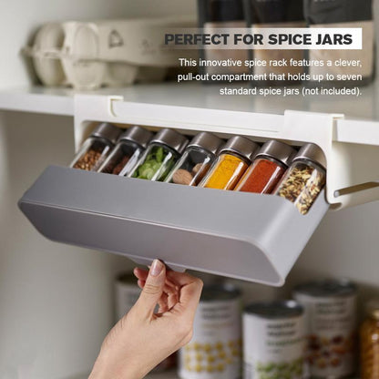 Kitchen Self-Adhesive Wall-Mounted Spice Organizer, Goodies N Stuff