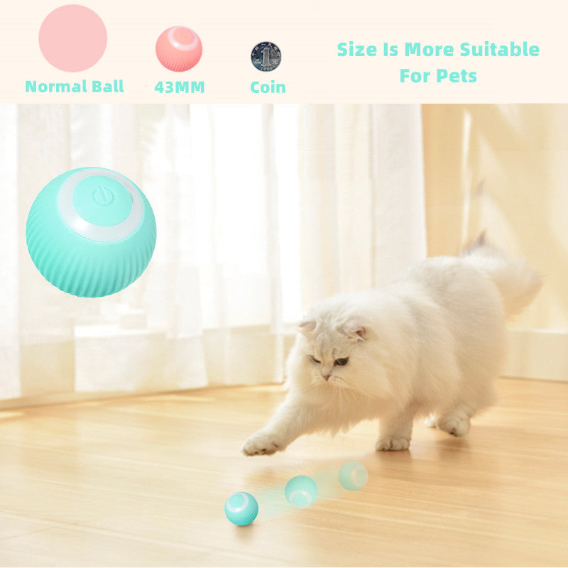 Smart Cat Ball Toys, Goodies N Stuff